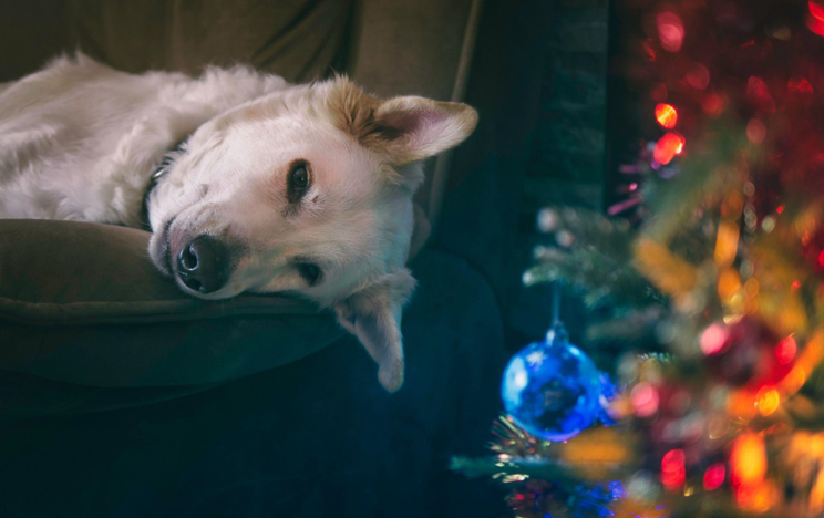 The Evolution of Artificial Christmas Trees and 20th-Century Century Cellphones